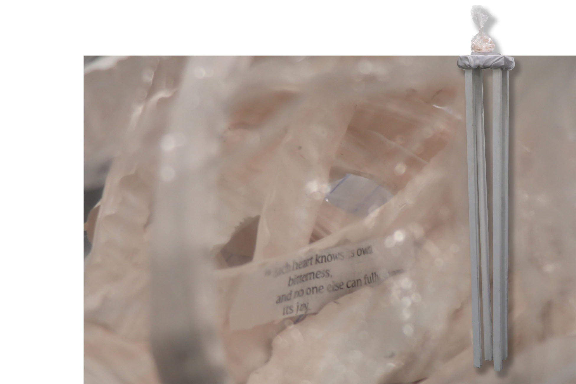 FORGIVING-ME-III - CARLAN-SAVAGE - A-THESISSS-SHOW