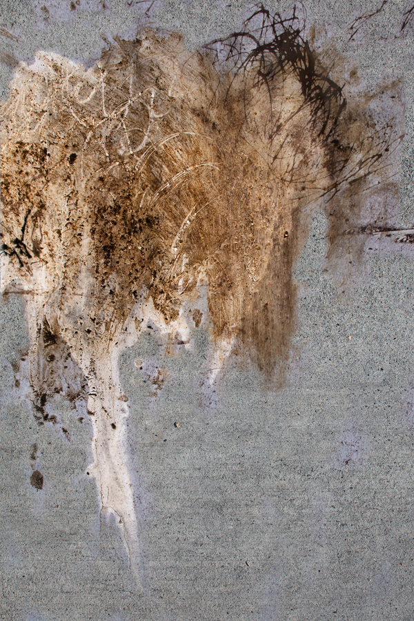 An-Island-To-Sow - HARRY-COLE - A-THESISSS-SHOW