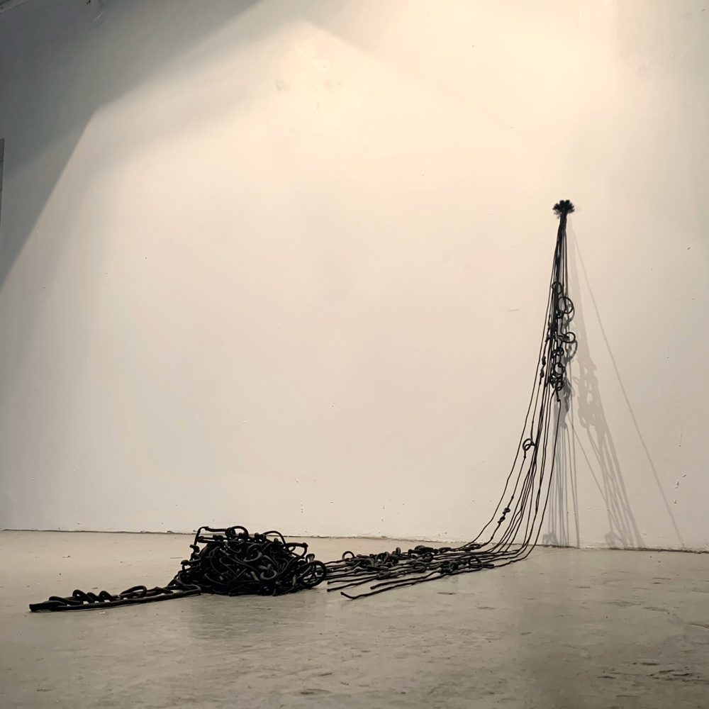 Knot-Knowing-Know - RENATA-DEL-RIEGO - A-THESISSS-SHOW